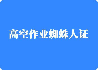 美女日逼黄色污网站高空作业蜘蛛人证